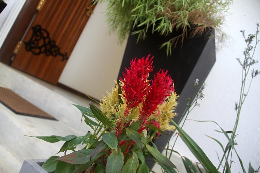 Binnacle Negombo Exterior foto